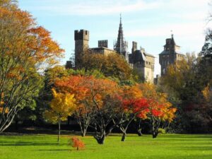 Bute Park with Cardiff Castle in the background.