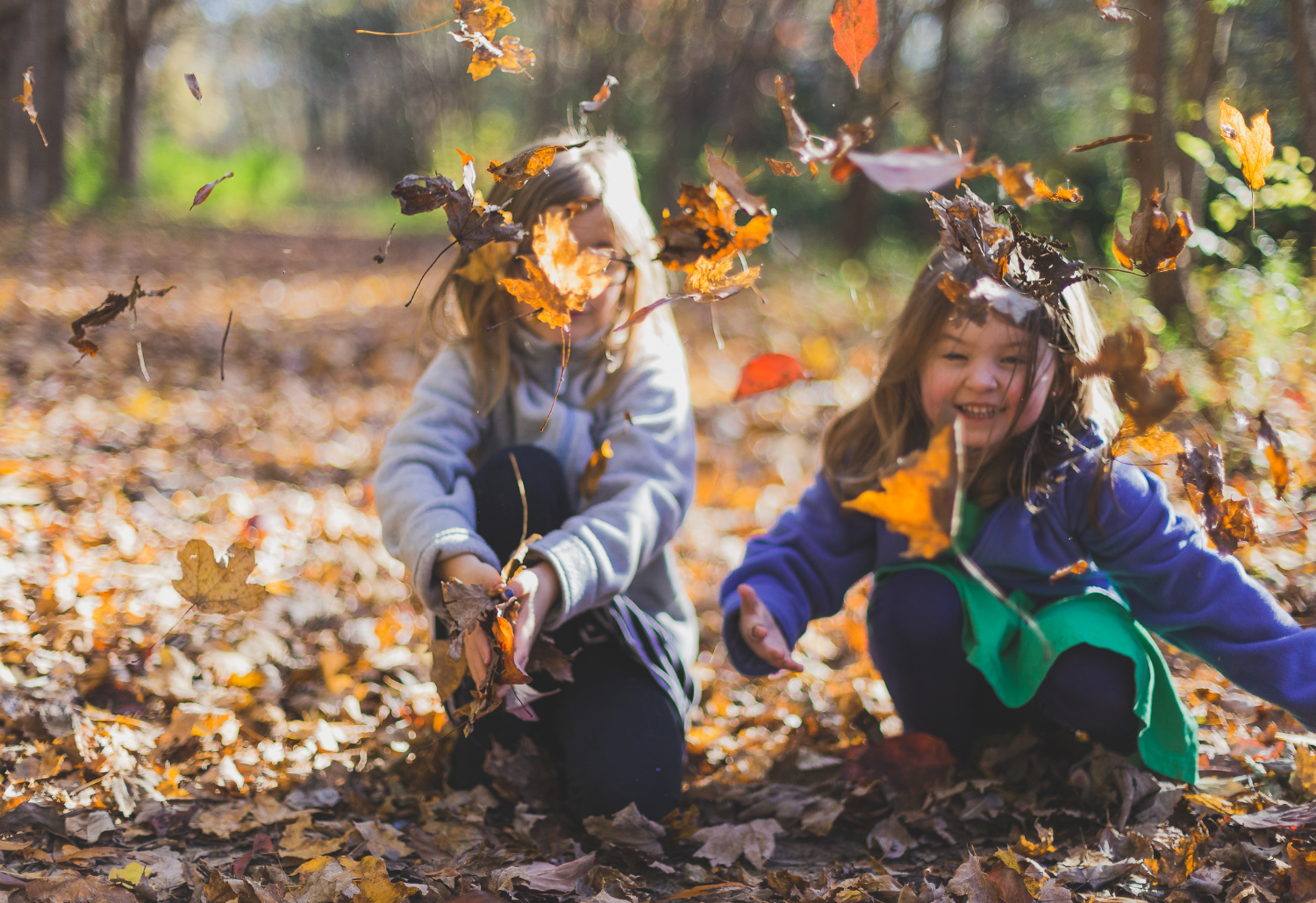Stock photo of two children smiling and crouching in a pile of autumn leaves and throwing them in the air.